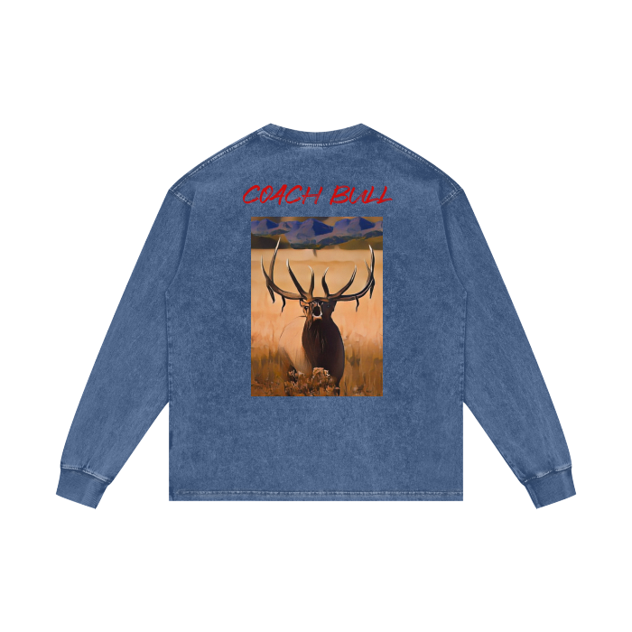 Coach Bull - LS - Heather Blue